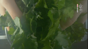 【面皮】1.鍋中水開(kāi)時(shí)，放挑揀好的艾草和一撮小蘇打，第一遍煮開(kāi)后倒掉，重新加水大火煮開(kāi)后，小火煮1小時(shí)。煮爛的艾草用紗布瀝干。